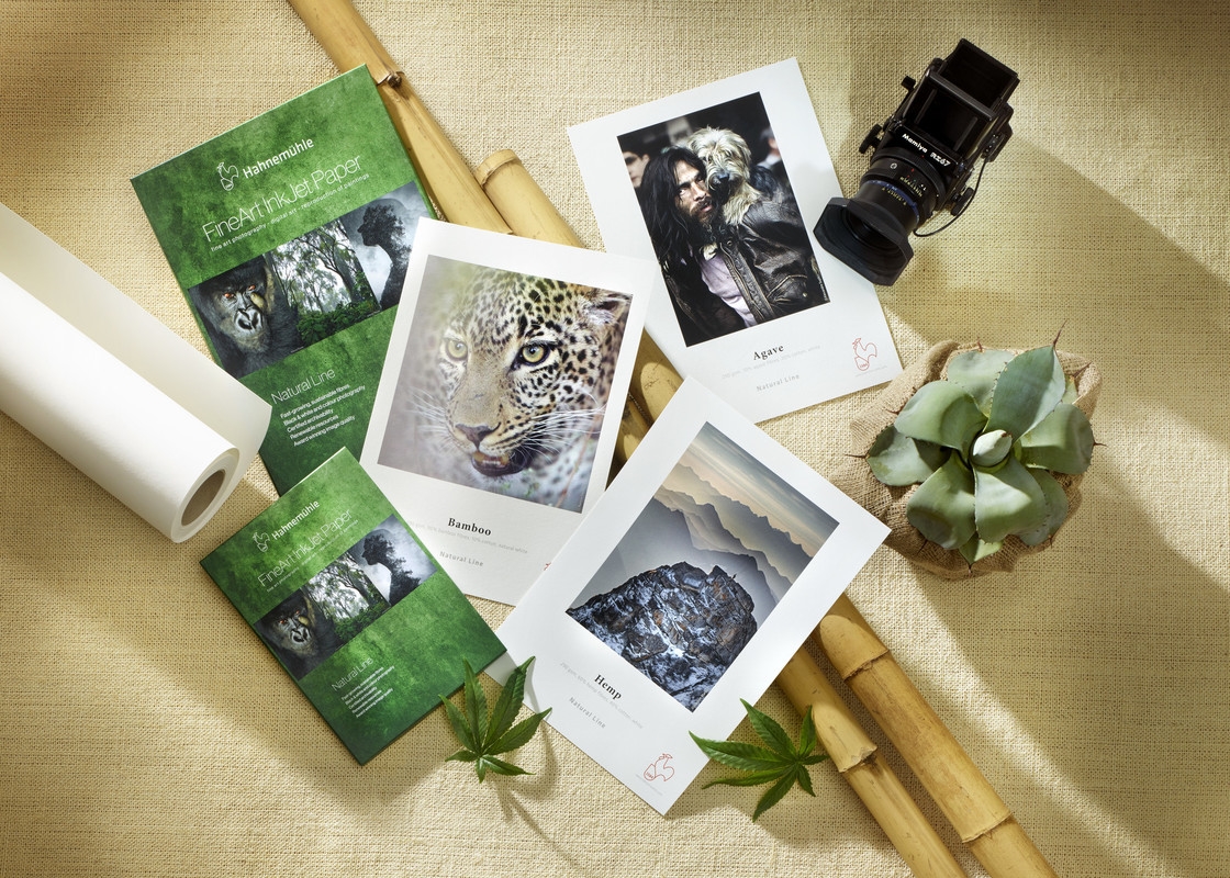 Linea naturale